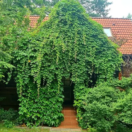 Holiday home Na Jurze Z Balia Zarki Letnisko