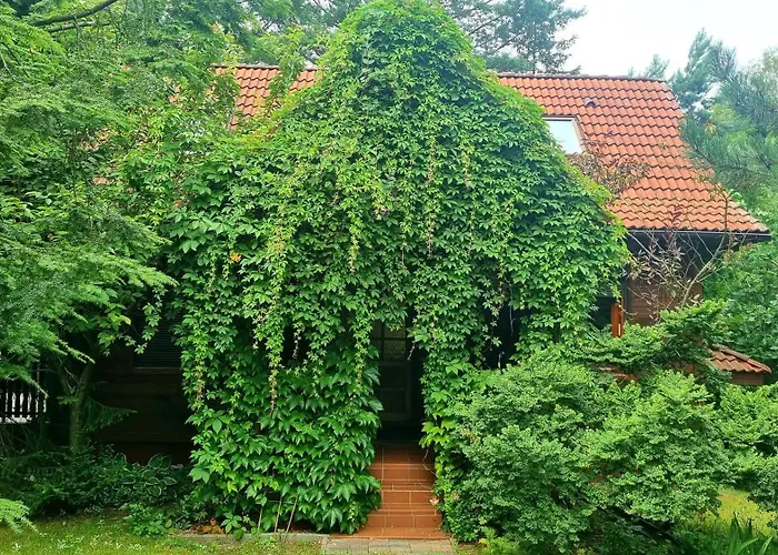 Feriehus Na Jurze Z Balia Zarki Letnisko