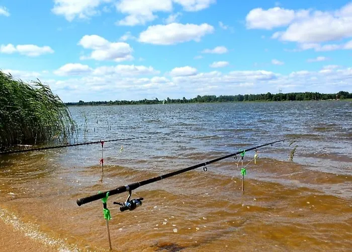 Na Jurze Z Balia Feriehus Zarki Letnisko